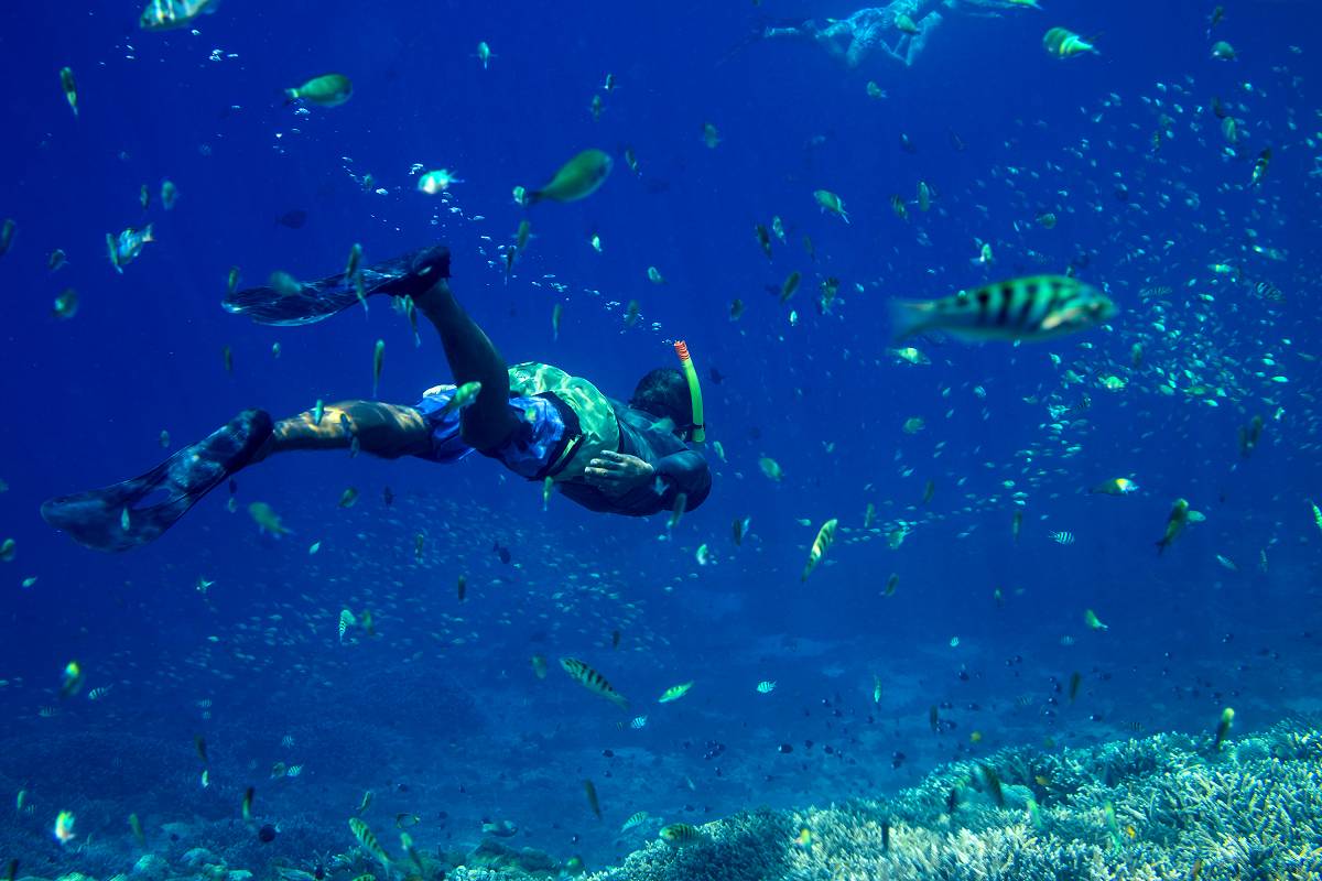 After an apocalypse, a sailor takes some time to dive a tropical reef